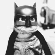 Cam's Stream profile image