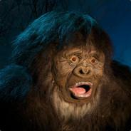 Foot=Big's Stream profile image