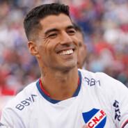 Luis Suarez's Stream profile image