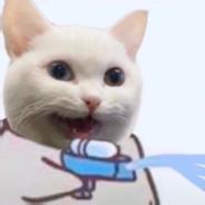 微明's Stream profile image
