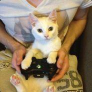 jpdoesthat's Stream profile image