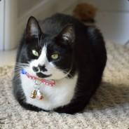 meeblelouise's Stream profile image