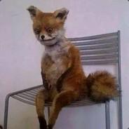 RobinhoMIPT's - Steam avatar