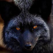 Spikerfox's Stream profile image