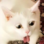 Angry's Stream profile image