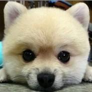 罗添添's Stream profile image