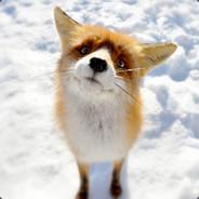 DonMcPezorello's Stream profile image