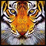jaszzy's Stream profile image