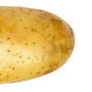 just the tip of the potato's Stream profile image