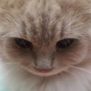Davin_Jr123's - Steam avatar