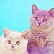 mattt_damon's Stream profile image