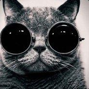 Sppolly's Stream profile image