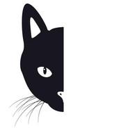 SebaDL's Stream profile image