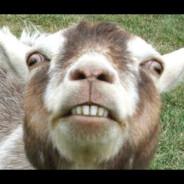 NoobNoob's Stream profile image