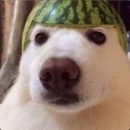 ursinho blau blau's - Steam avatar