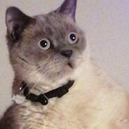 rgzthjnfsdjhnrtťžzwhgz's - Steam avatar