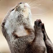Nutria Bélica's Stream profile image