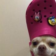 Ricksww's Stream profile image