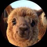 ptitschmitt's Stream profile image