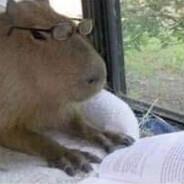 monsieur capibara's Stream profile image