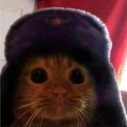 Woodie's Stream profile image
