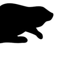 The_Mr_Beaver's Stream profile image