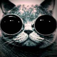 Snaps's - Steam avatar