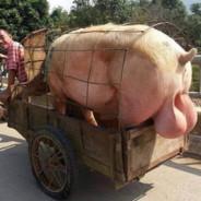 Fart Smella's Stream profile image