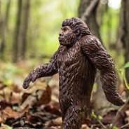 SassySquatch's Stream profile image