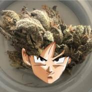 Lks-.'s Stream profile image