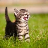 Petrilla's - Steam avatar