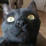 Cris_Ackerman's - Steam avatar