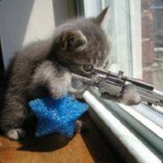 Tim's Stream profile image