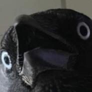 Sir Cumcised's Stream profile image