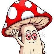 El Cucumelo's Stream profile image