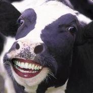 MiLK's Stream profile image