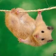 TheBlitchCZ's Stream profile image