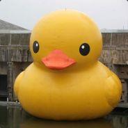 Maxi Galdames's - Steam avatar