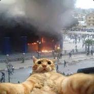 Thorfinn's Stream profile image