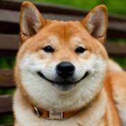 lsagal's Stream profile image