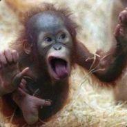 bolzer_zwo's - Steam avatar