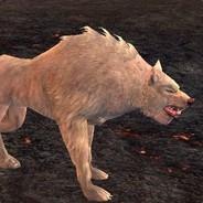 Chachii's - Steam avatar