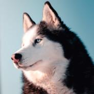 WinterWolf's Stream profile image