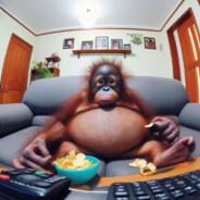 Taho's - Steam avatar