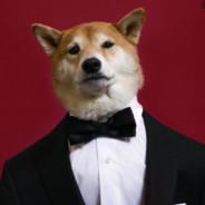 ericozinho's Stream profile image