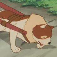 patrasche's Stream profile image