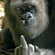 TheSmithington's Stream profile image