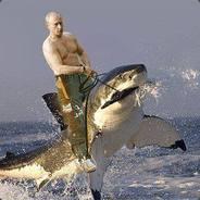 Dimitarmitar's Stream profile image