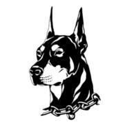 kkondrat_1's Stream profile image