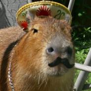 bobobobíkmeister capybara's - Steam avatar